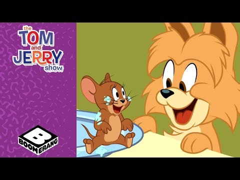 Puppy vs. The Birthday Cake! 🐶 | Tom & Jerry Show | Boomerang UK