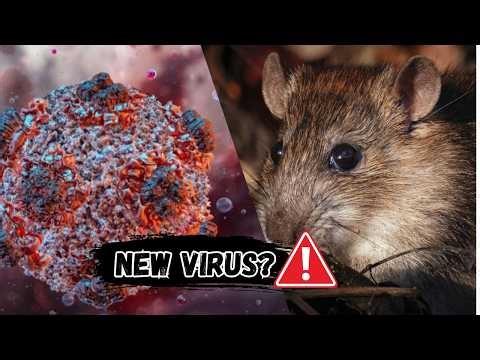 The Deadly Virus Spreading