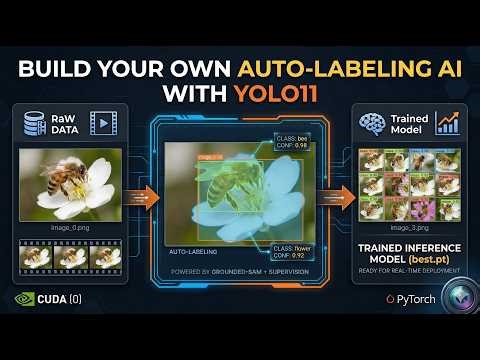 Build Your Own Auto-Labeling AI with YOLO11