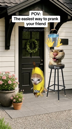 CAT MEMES 🐱The Easiest Way to Prank Your Friend #catmemes #relatable #relationship