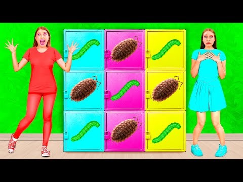 Colors Mystery Box Challenge | Easy Secret Hacks and Gadgets by DuKoDu Challenge