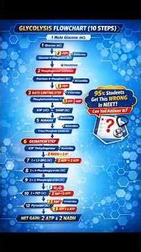 How Body Makes Energy Without Oxygen? | Glycolysis Explained #biology #class11biology