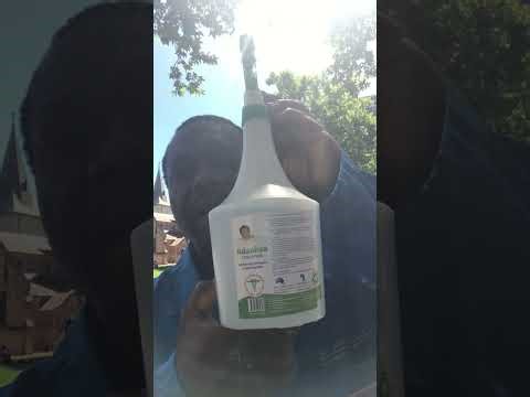 Adaolisa Universal Disinfectant is Celebrating Killing of Herpes Virus on Surface 2025 by HLEI.