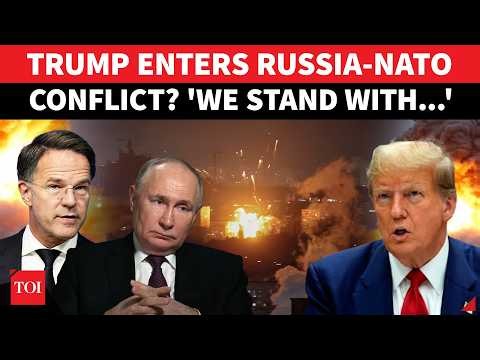 US Enters Russia-NATO HOT ZONE? ’Total Support To…’: Trump Fumes After Putin's Forces Strike Romania