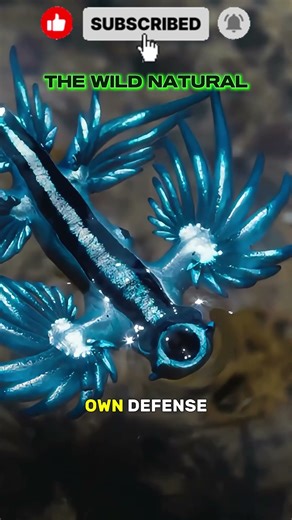 Real Life Pokemon? NO, It's a Venom Thief! 🐉🚫#shorts