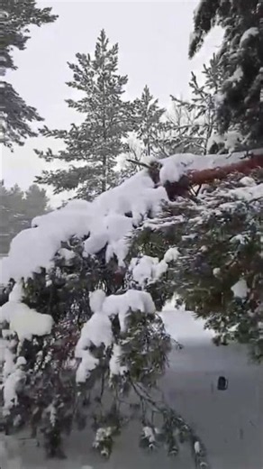 Vivaldi – Winter from The Four Seasons | Epic Violin & Baroque Classical Music #VivaldiWinter
