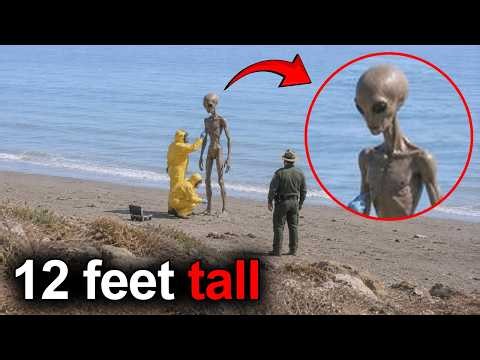 People Are Freaking Out Over This Alien Sightings, and Its Crazier Than We Thought!!