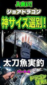 【太刀魚】入食い!ショアドラゴンパート4#太刀魚釣り#ショアドラゴン#サブマリン釣法#スパークテンヤ