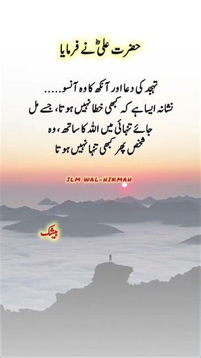 Beautiful Words #islamicvideo #islamicquotes #islamicreminder #muslimcontent #shortsfeed #shorts