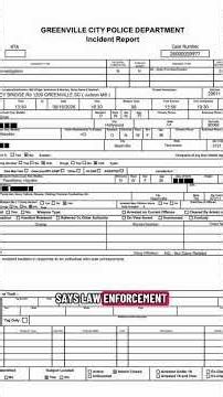 South Carolina police report reveals new details about Hayden Panettiere's death