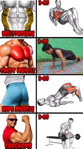 Full Body Muscle Workout Chest, Abs, Hips & Forearms, Home Workout #Workout #Fitness #HomeWorkout