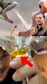 snake venom ko peene se kya hoga? #science #education #physics #learning #experiment