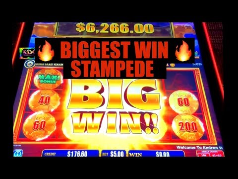 😱 BIGGEST WIN STAMPEDE 😱 $1000 MAXI 🔥 STAMPEDE SLOT MACHINE 🎰 POKIE WINS