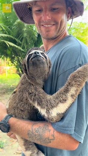 This Animal Is So Slow, Even Its Fur Grows Algae!#sloth #viral #facts