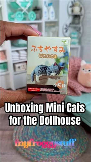 Unboxing Mini Sleeping Cats for the Dollhouse : Barbie Size | Surprise Box Miniso Find