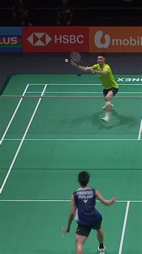 Perfectly placed! #shorts #badminton #BWF