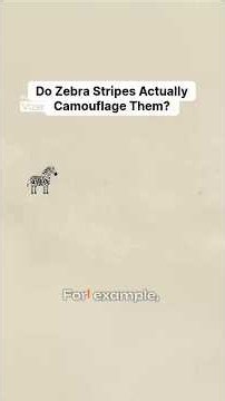 Do Zebra Stripes Actually Camouflage Them #trending#viral #wildlife