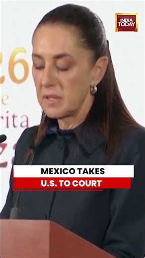 Mexico to Sue U.S. Over Deaths of 17 Citizens in Immigration Operations | #mexico #usa #iceagents