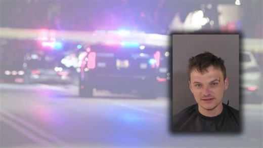 Vero Beach man accused of choking woman unconscious, attacking others at birthday party