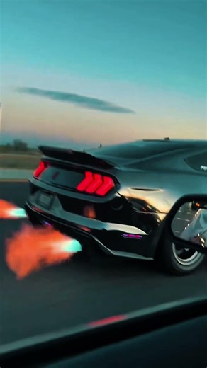 INSANE Mustang V8 Exhaust Flames! 🔥 Pure Cold Start & Flyby Sound #FordMustang #V8 #Flames