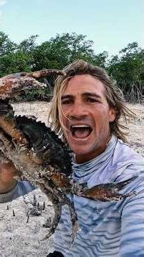 The Most Dangerous Crab VS My Bare Hands #bushcraft #crab #fishing #seafood
