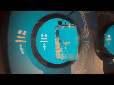 The California Science Center in Los Angeles' Exposition Park Southern California | World of Life