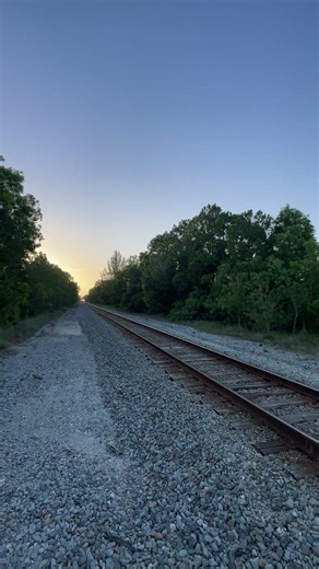 Amtrak Floridian Southbound