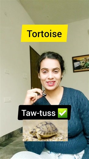 Dr. Chandni Singh on Instagram: "Commonly mispronounced animal names? #spokenenglish #englishreels #englishteacher #englishtips #studyenglish"