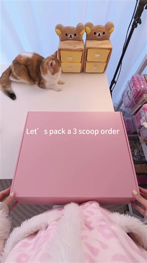 Hi Briar, this is your order packing video, hope you like it!💕💕#luckyscoop #mysteryscoop #asmr #packingorders #mysterybox