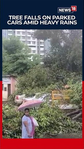 Mumbai Rains Chaos: Tree Falls on 3 Parked Cars in Bandra Amid Heavy Rainfall | No Injuries | N18S