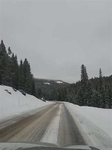 An emergency plan for your family when the grid goes down will be VITAL. Those first 72 hours will grow into unrest quickly when people realize how serious the situation is. Don't be caught in the panic. Make sure your family knows where to go, how to get home, and your immediate action steps following a diaster. Ours includes who will be going to the grocery store in its final 2 hrs, and how my husband will get home from work, among other practicall action steps. Your plan should be practical a