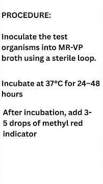 Methyl Red Test Explained in 60 Seconds | IMViC Test | Microbiology