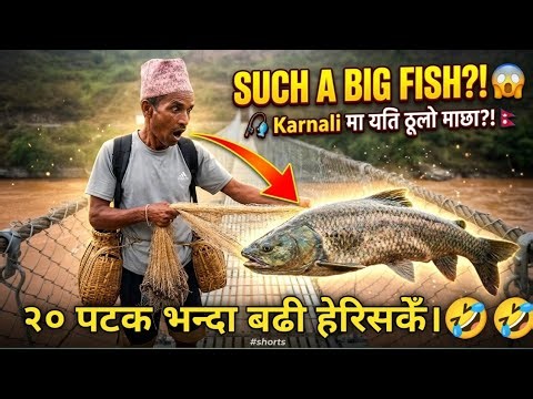 Aadhikhola मा जाल हालेर माछा मार्दै | गाउँको परम्परागत जीवनशैली 🇳🇵🎣