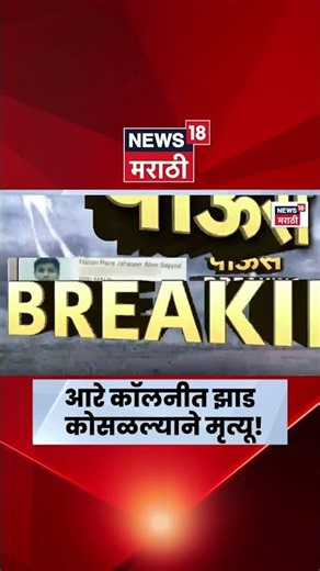 Mumbai Aarey Colony News | आरे कॉलनीत दुचाकीवर झाडाची फांदी कोसळली; तरुणाचा दुर्दैवी मृत्यू