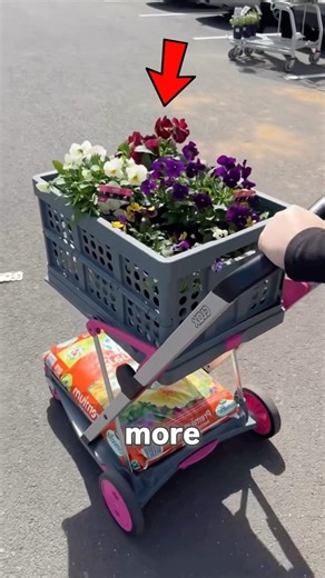 This Folding Cart Solves Grocery Shopping