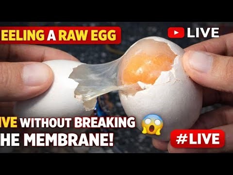 Peeling a RAW Egg Live Without Breaking the Membrane 😱 | Satisfying ASMR