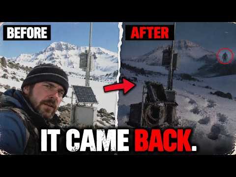 Mount Rainier Seismologist Records Something That Shocked Scientists (Not Human)