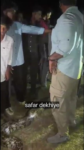 15ft Indian rock python itna Bhari ke rescue mahanga pad Gaya#cobra #russellviper #python #snakes