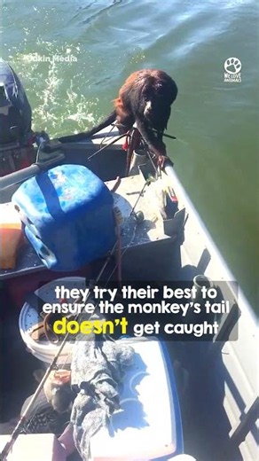 Poor monkey trapped in water, incredible save #rescue #heartwarming