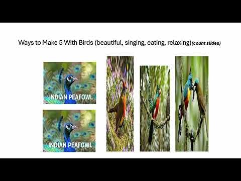 Fun With Numbers by Adding Ways to Make 5 With Birds - Beautiful, Singing, Eating, Relaxing #1