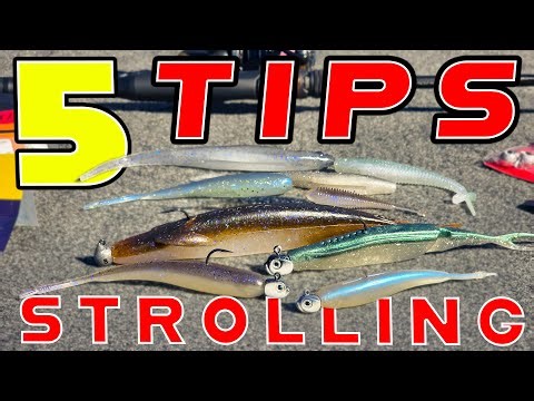 5 Keys To Strolling The Jig And Minnow! ( The Details No One Is Telling! )