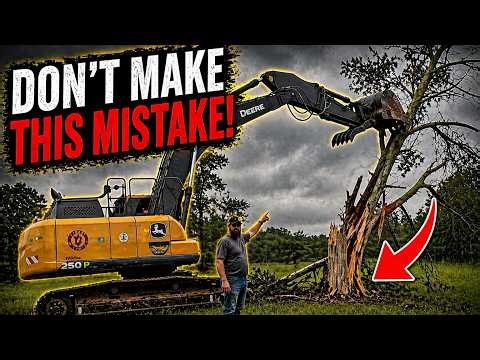 How to Safely Take Down a Dead Tree (Most People Do This Wrong)