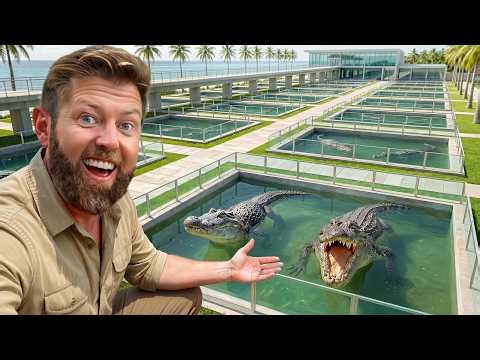 Private Tour of Florida's $1M Crocodile Facility