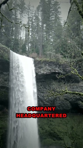 The strange story of msft