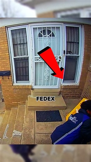 99% IQ FedEx Delivery Driver! 🧠