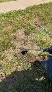 Last Chance Set Before It Reached the Baseball Field… #pestcontrol #gophertrapping