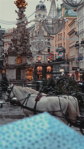 Just 147 days until Christmas ❄️🎄 It’s always amazing how fast time flies and somehow, Vienna’s magic makes that countdown feel even more special ✨ Planning your winter trip? Here’s your early guide to Vienna’s Christmas markets. The opening times below are based on the last few years, so use them as a rough guide for now. The final 2026 dates get confirmed closer to autumn. ✨ Rathausplatz (Christkindlmarkt): mid-Nov to Dec 26 ✨ Schönbrunn Palace: early Nov to early Jan ✨ Belvedere Palace: mid-