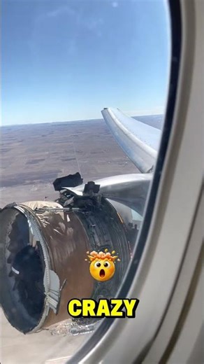 Can a BIRD Kill a Jet Engine? 🦅😱 #shorts #engineering