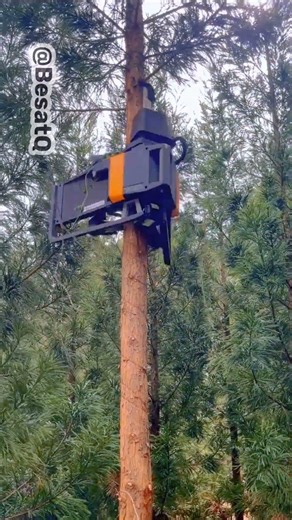 Climbing Robot That Scales Trees Like a Pro 🌲🤖