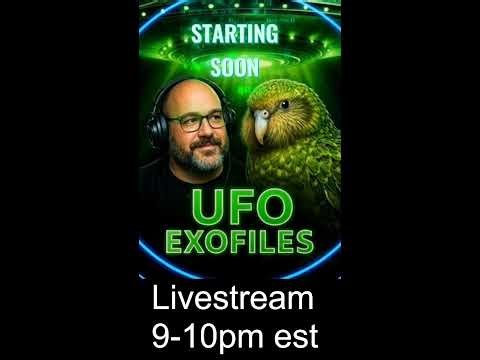 UFOs in the Last 24 Hours: Real Sightings or Just Sky Noise?" (Portrait)